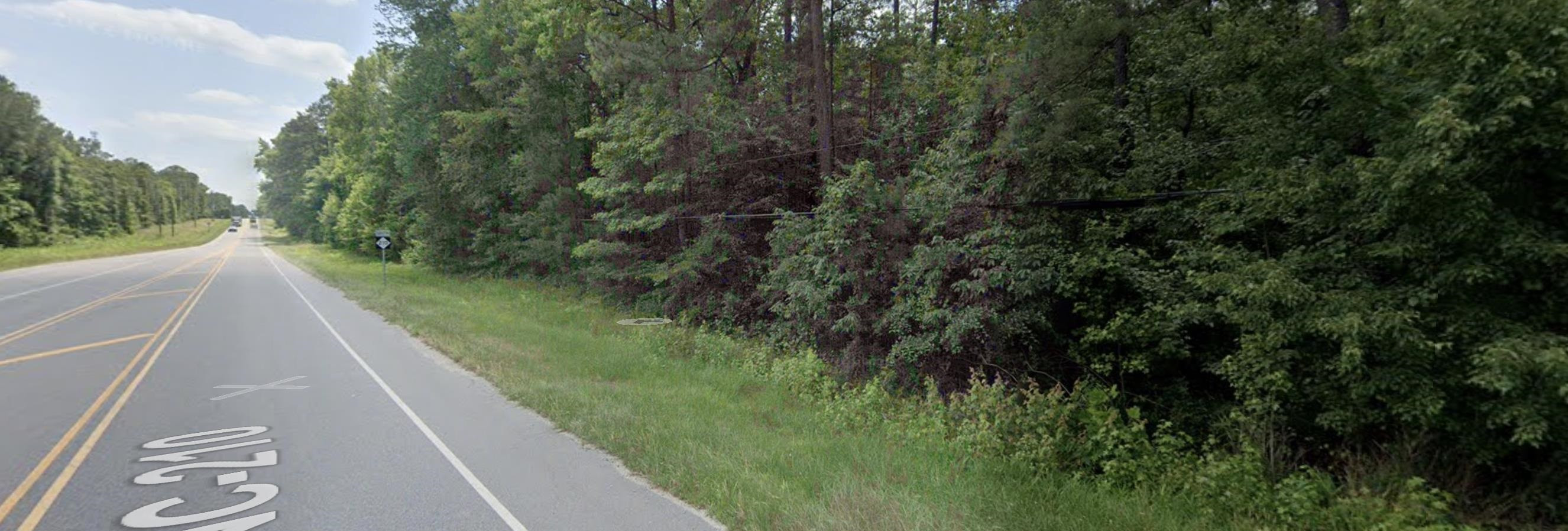 0 Nc 210 Highway Bunnlevel, NC 28323 - Photo 2 of 3 a view of a garden