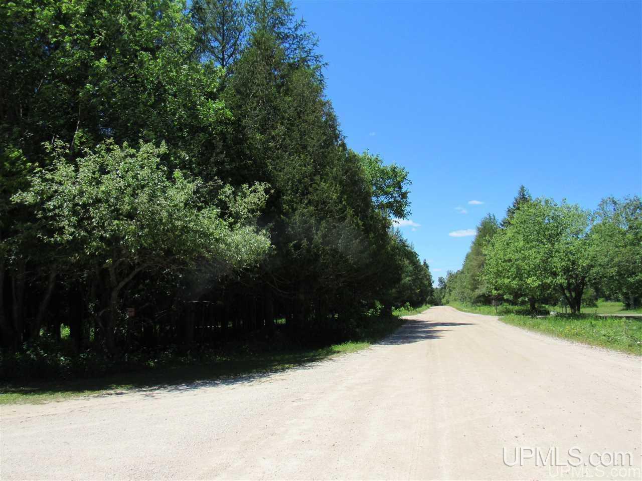 W16487 Mcconnell Road Curtis, MI 49820 - Photo 26 of 37