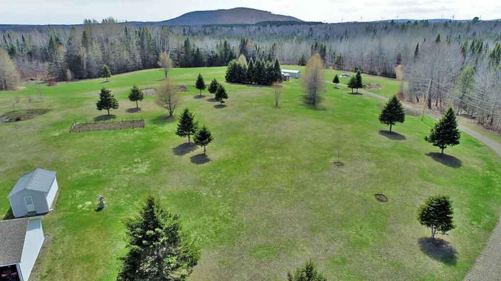 217 Campbell Road New Limerick, ME 04761 - Photo 4 of 92 land-maine-home-aroostook