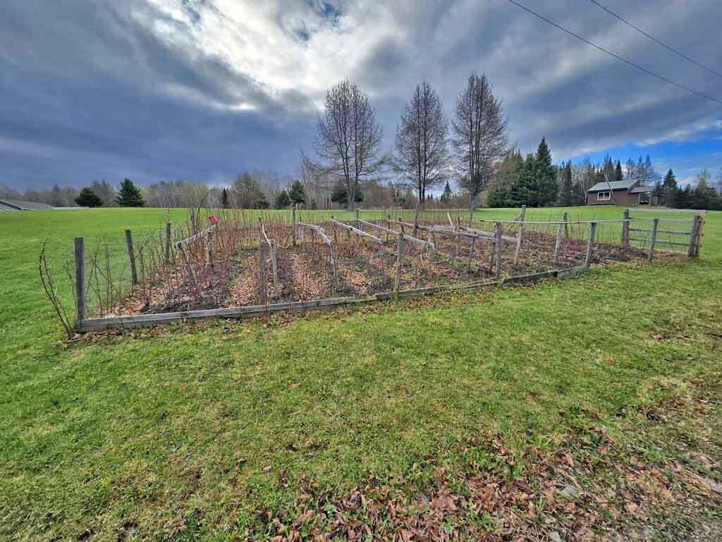 217 Campbell Road New Limerick, ME 04761 - Photo 75 of 92 raspberry-garden-patch
