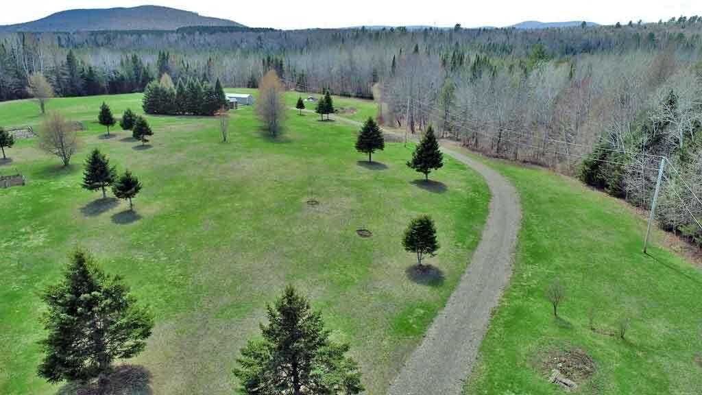 217 Campbell Road New Limerick, ME 04761 - Photo 85 of 92 land-behind-me-home