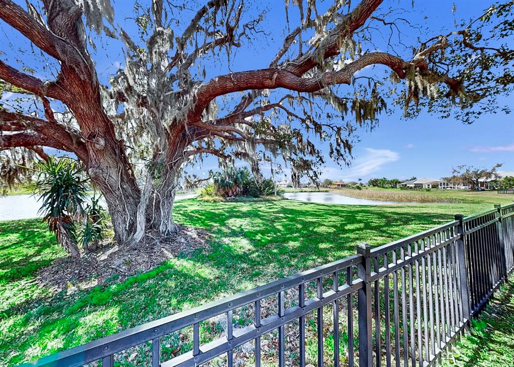 5419 Hammock View Lane Apollo Beach, FL 33572 - Photo 47 of 68