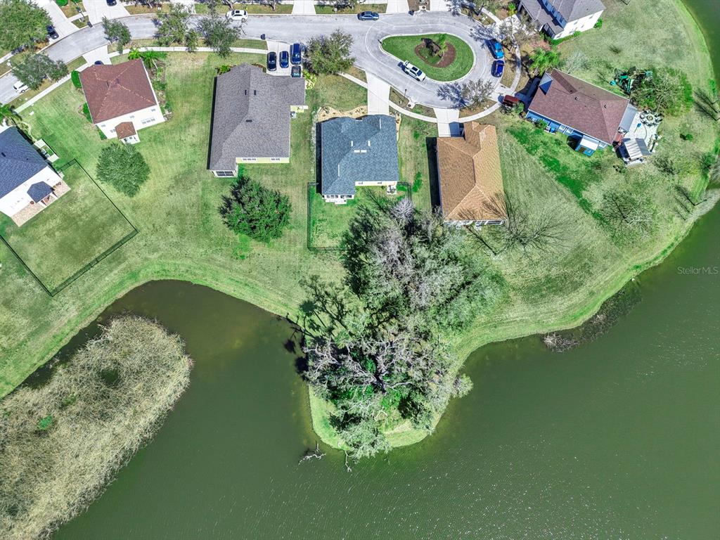 5419 Hammock View Lane Apollo Beach, FL 33572 - Photo 51 of 68