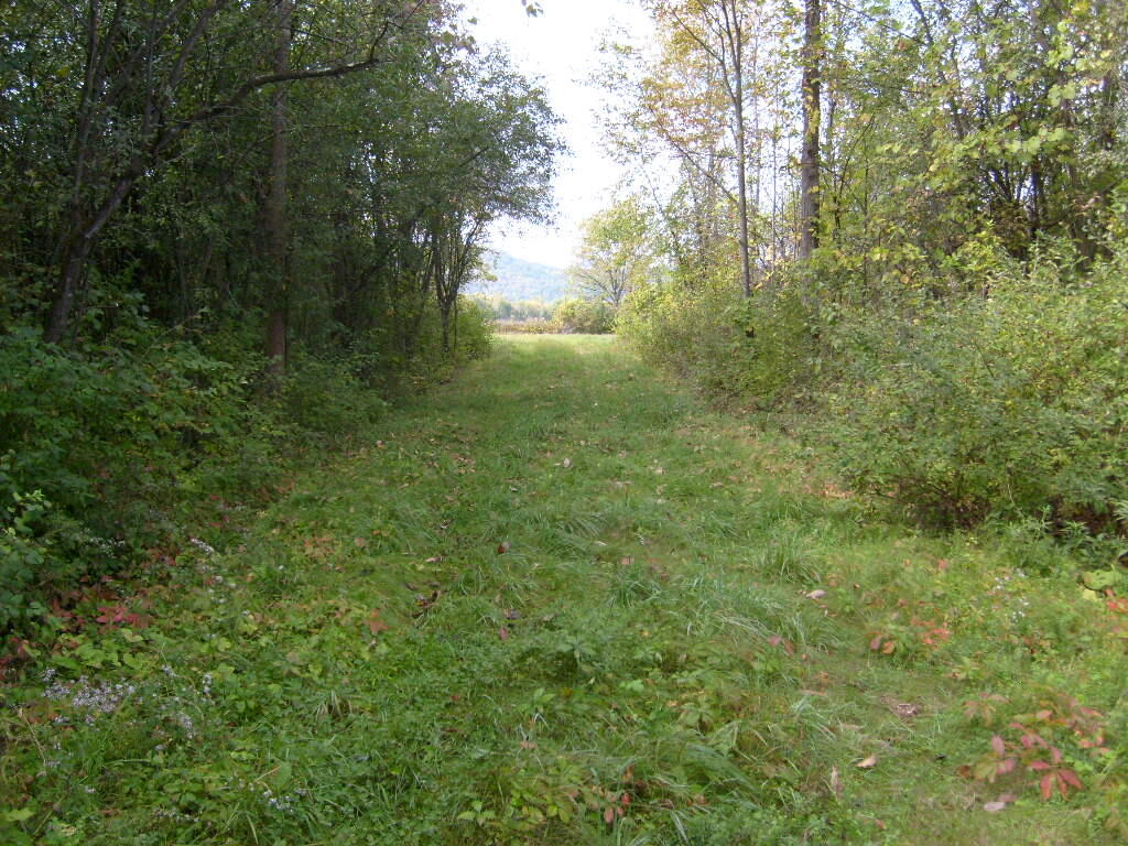 0 Bridge Road Crown Point, NY 12928 - Photo 5 of 7 Access Road