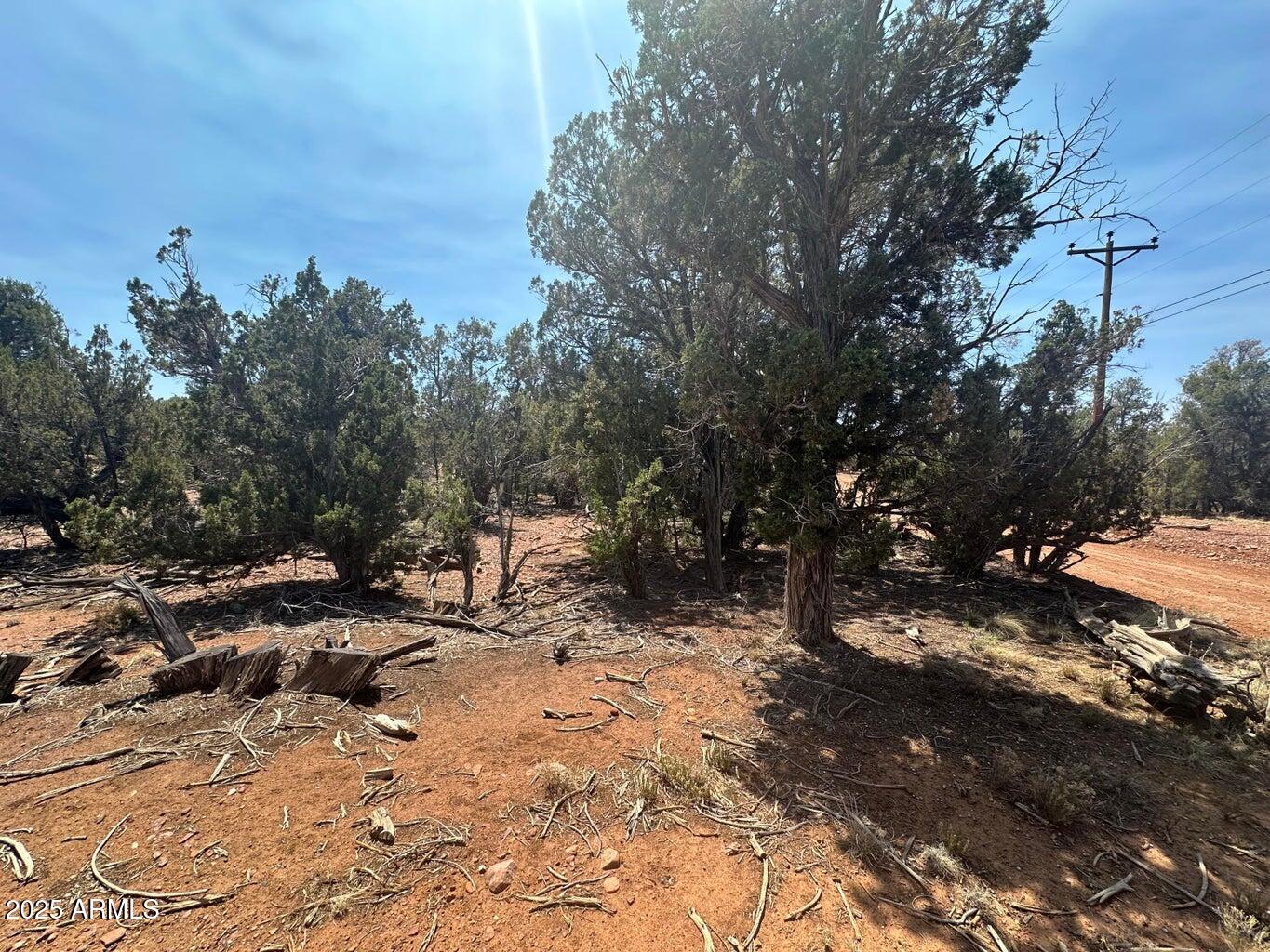 Lot #2 Power Line Road, Unit S Overgaard, AZ 85933 - Photo 3 of 9