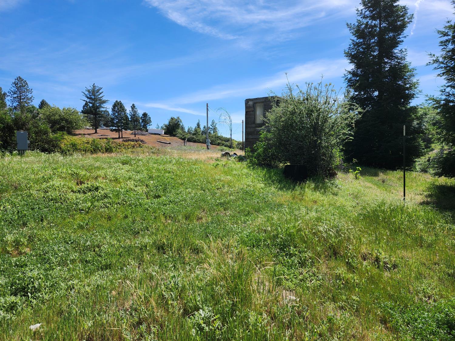10006 Wendell Road Mountain Ranch, CA 95246 - Photo 7 of 24 Gallery Image 7