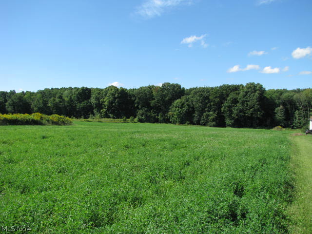 13630 Old State Road Middlefield, OH 44062 - Photo 2 of 3