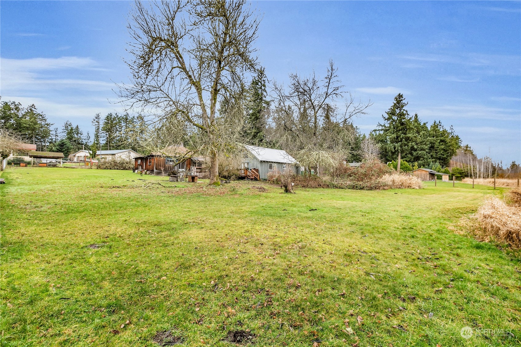 25115 72nd Avenue East Graham, WA 98338 - Photo 21 of 24 a view of a field with tree in the background