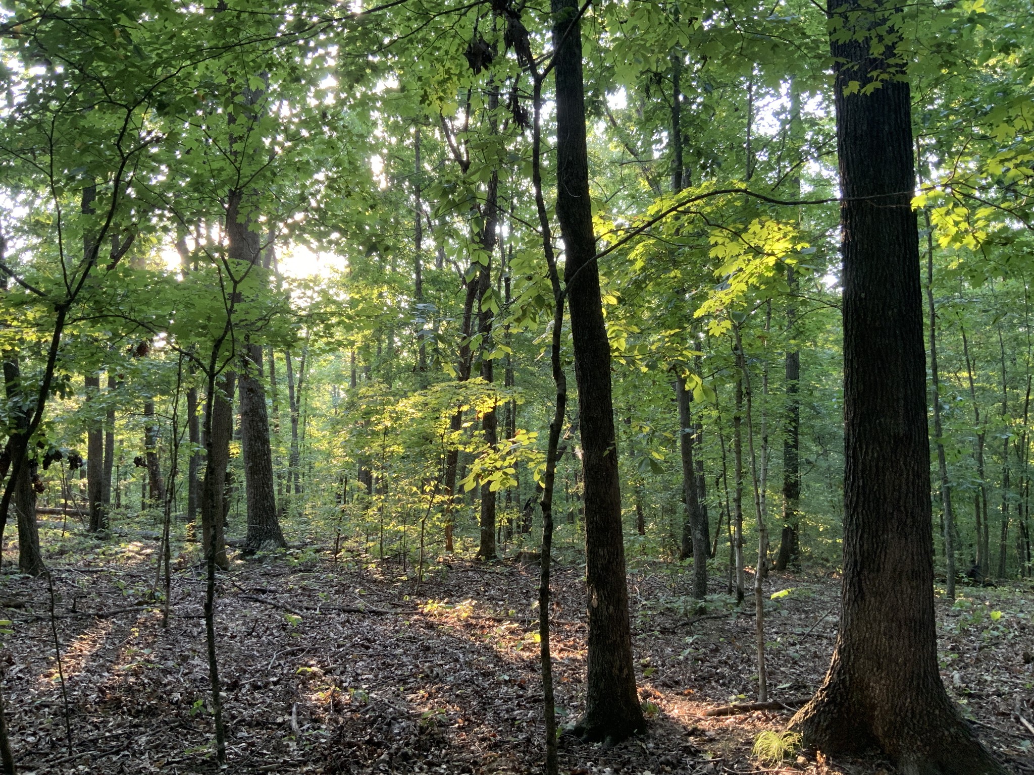 330 Durwachter Road Dover, TN 37058 - Photo 15 of 86