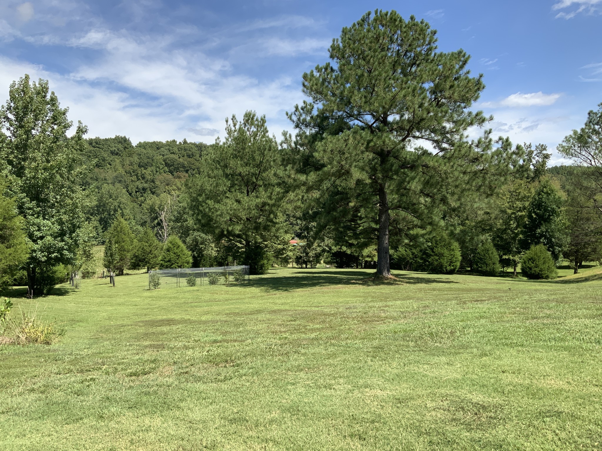 330 Durwachter Road Dover, TN 37058 - Photo 22 of 86 a view of a green field with trees in the background