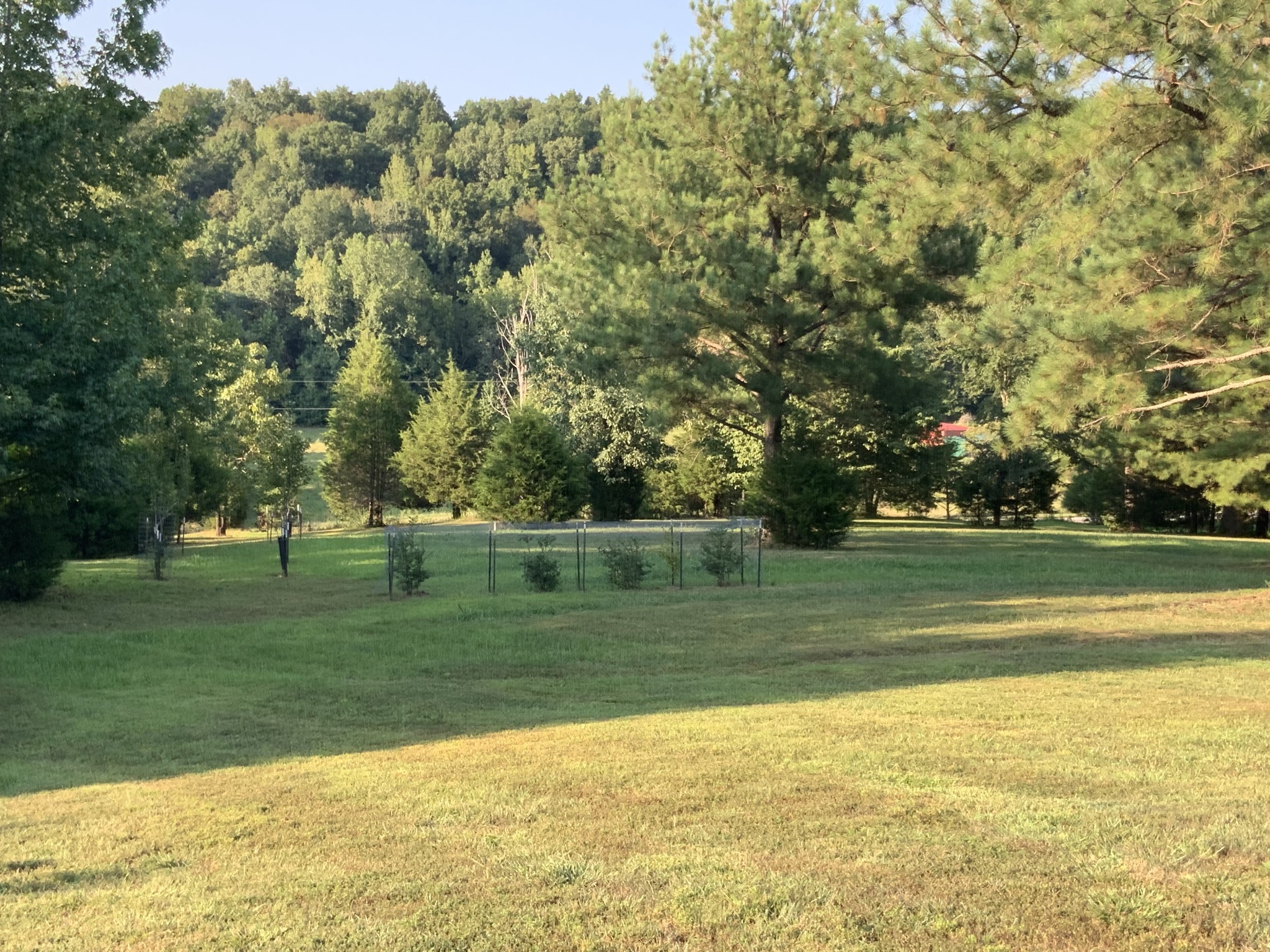 330 Durwachter Road Dover, TN 37058 - Photo 26 of 86