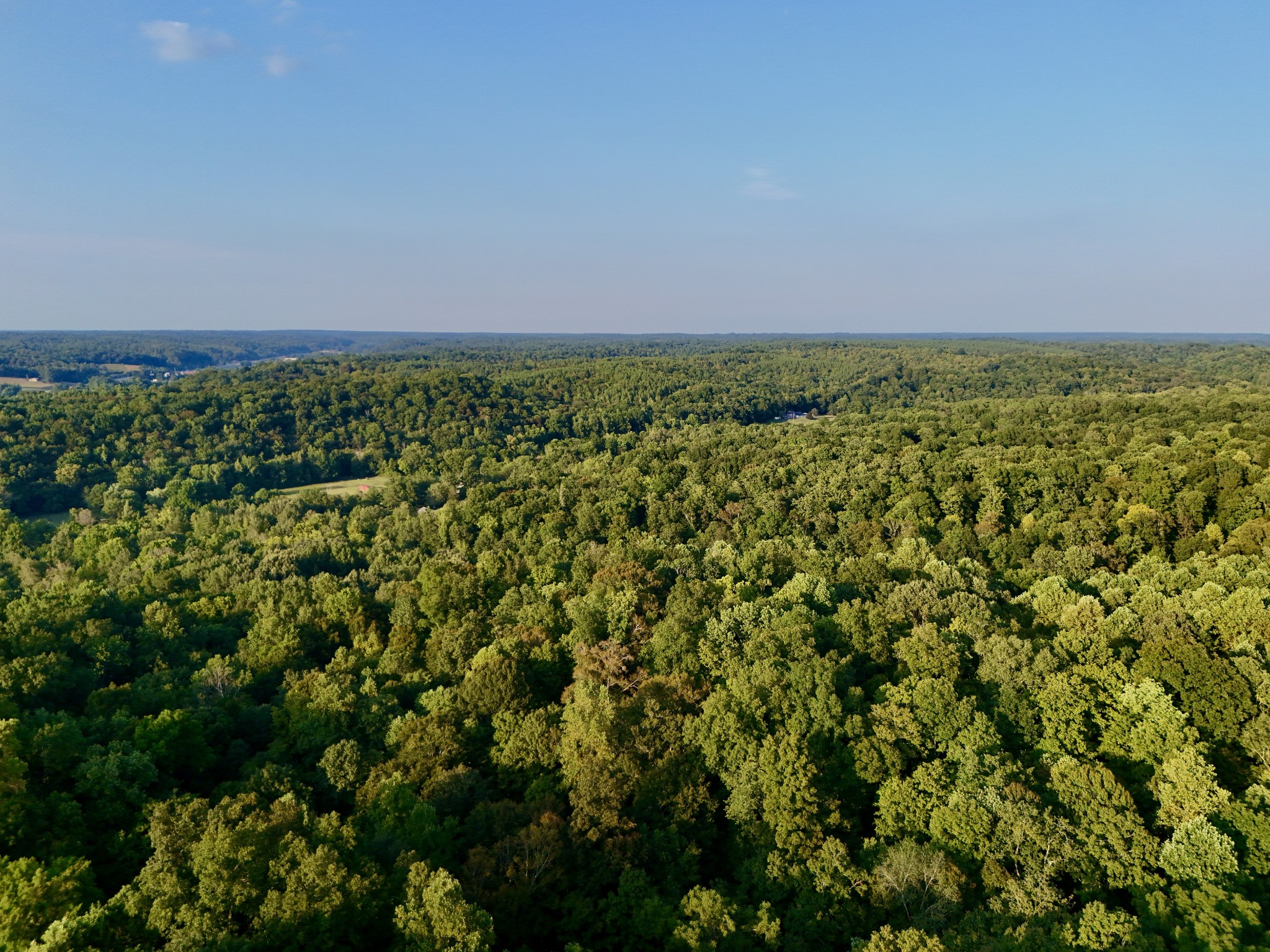 330 Durwachter Road Dover, TN 37058 - Photo 80 of 86