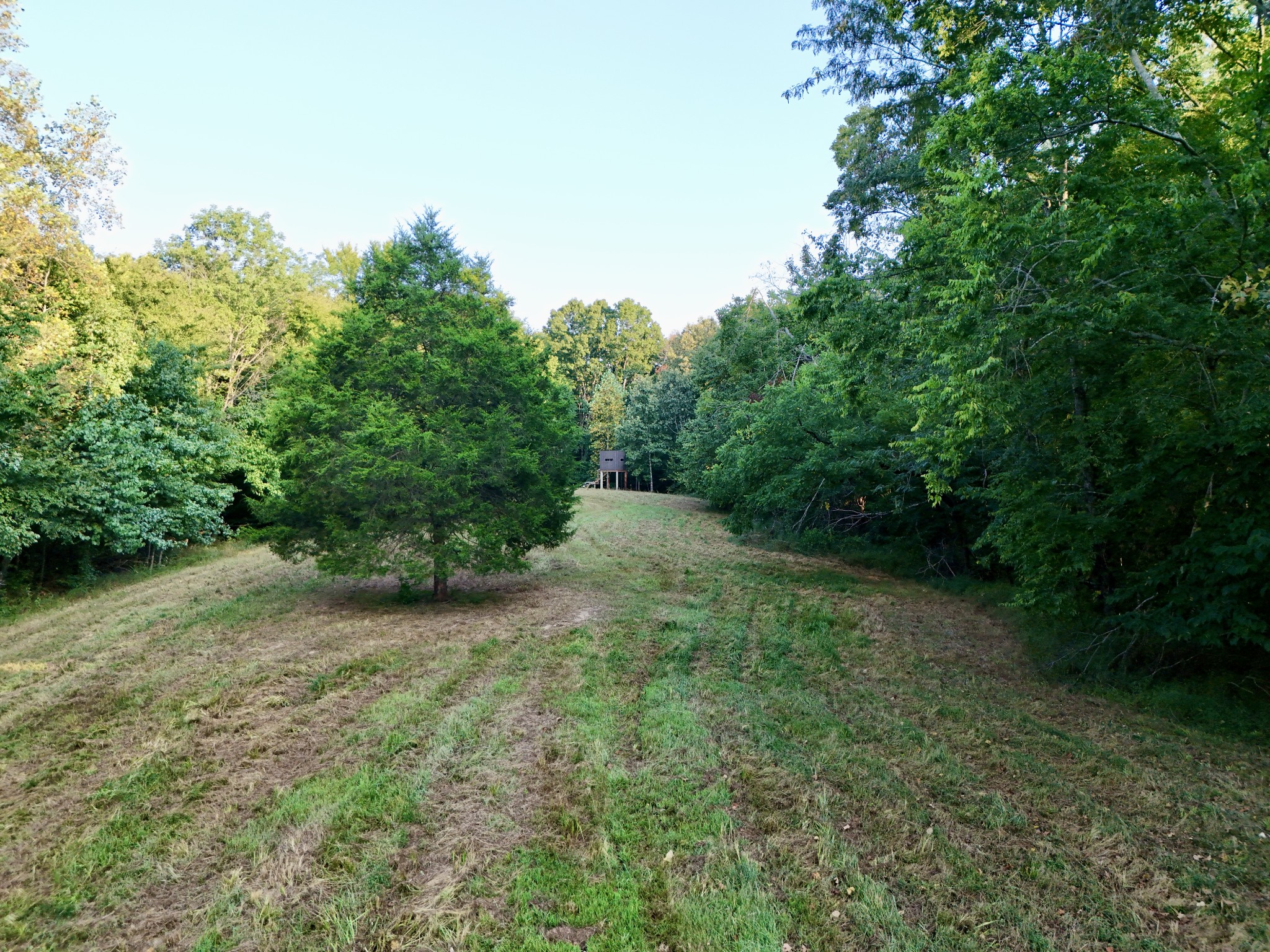 330 Durwachter Road Dover, TN 37058 - Photo 81 of 86