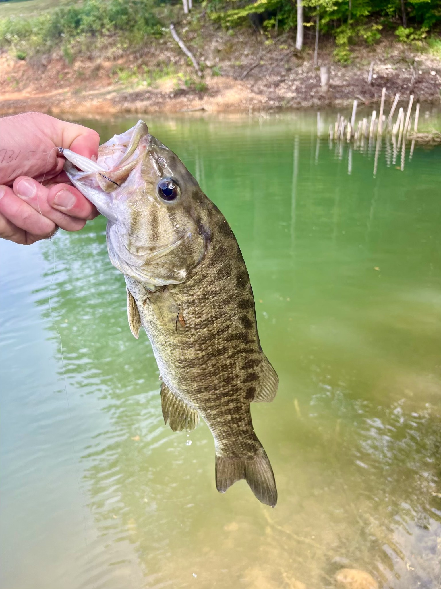 330 Durwachter Road Dover, TN 37058 - Photo 85 of 86