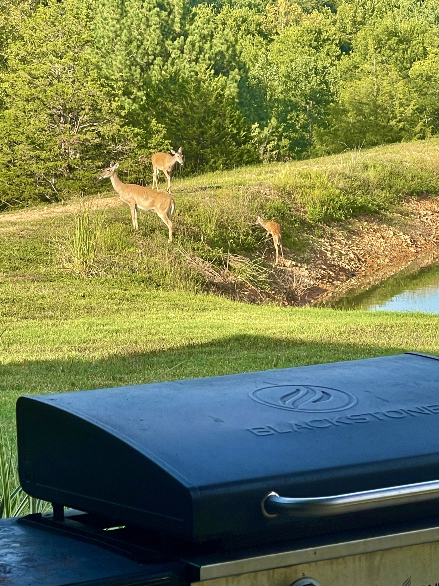 330 Durwachter Road Dover, TN 37058 - Photo 86 of 86