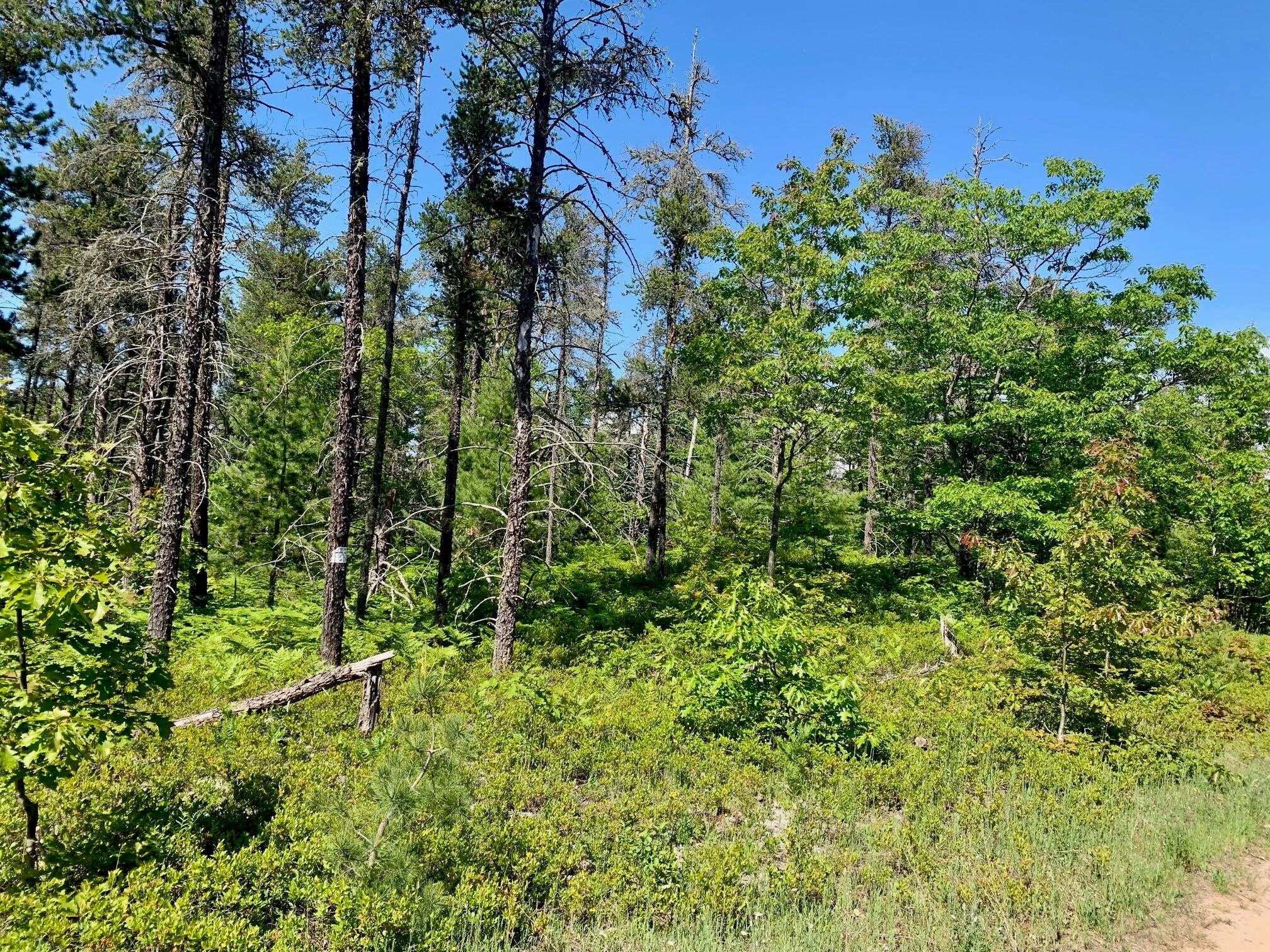 13713 North Whitefish Point Road Paradise, MI 49768 - Photo 10 of 11 Gallery Image 10