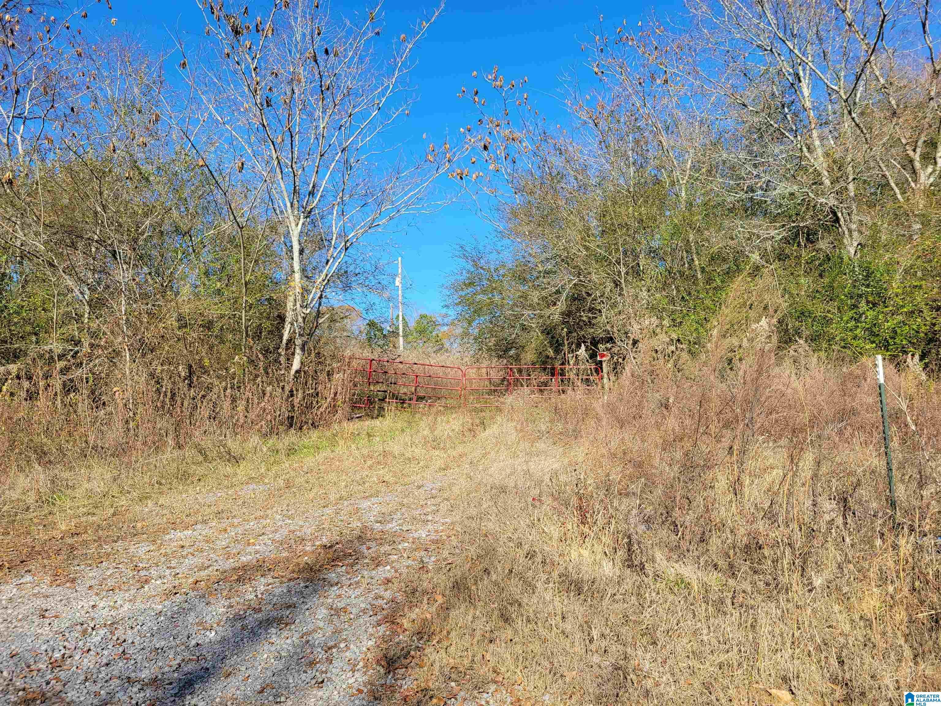 2194 County Road 818 Logan, AL 35098 - Photo 3 of 8