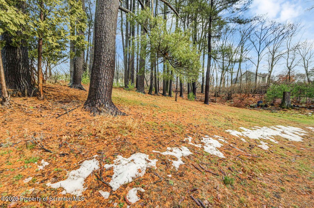 35 East Franklin Street Shavertown, PA 18708 - Photo 65 of 66 35 E Franklin St 64 Large