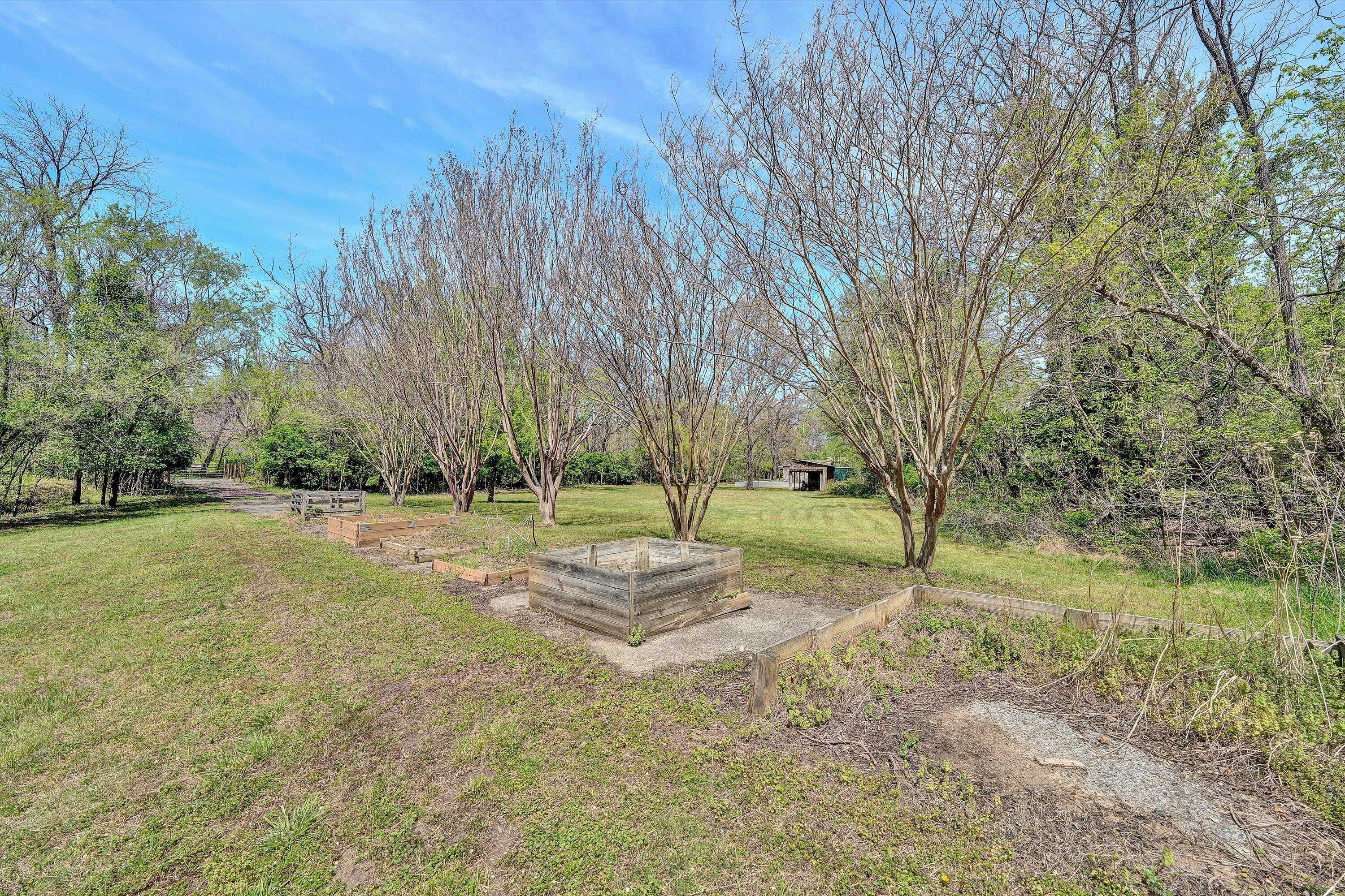 4787 Glade Creek Road Roanoke, VA 24012 - Photo 35 of 37 a view of a tree in a yard