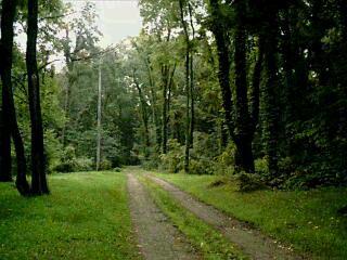 10865 Enzian Road Delton, MI 49046 - Photo 3 of 4 Additional Photo