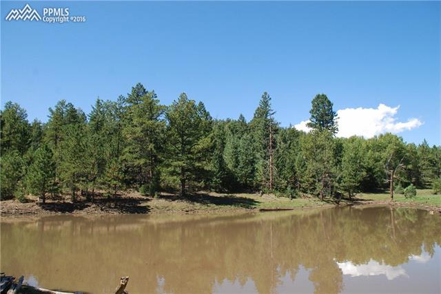 Tbd Tbd Peakview Road Canon City, CO 81212 - Photo 7 of 20 Gallery Image 7