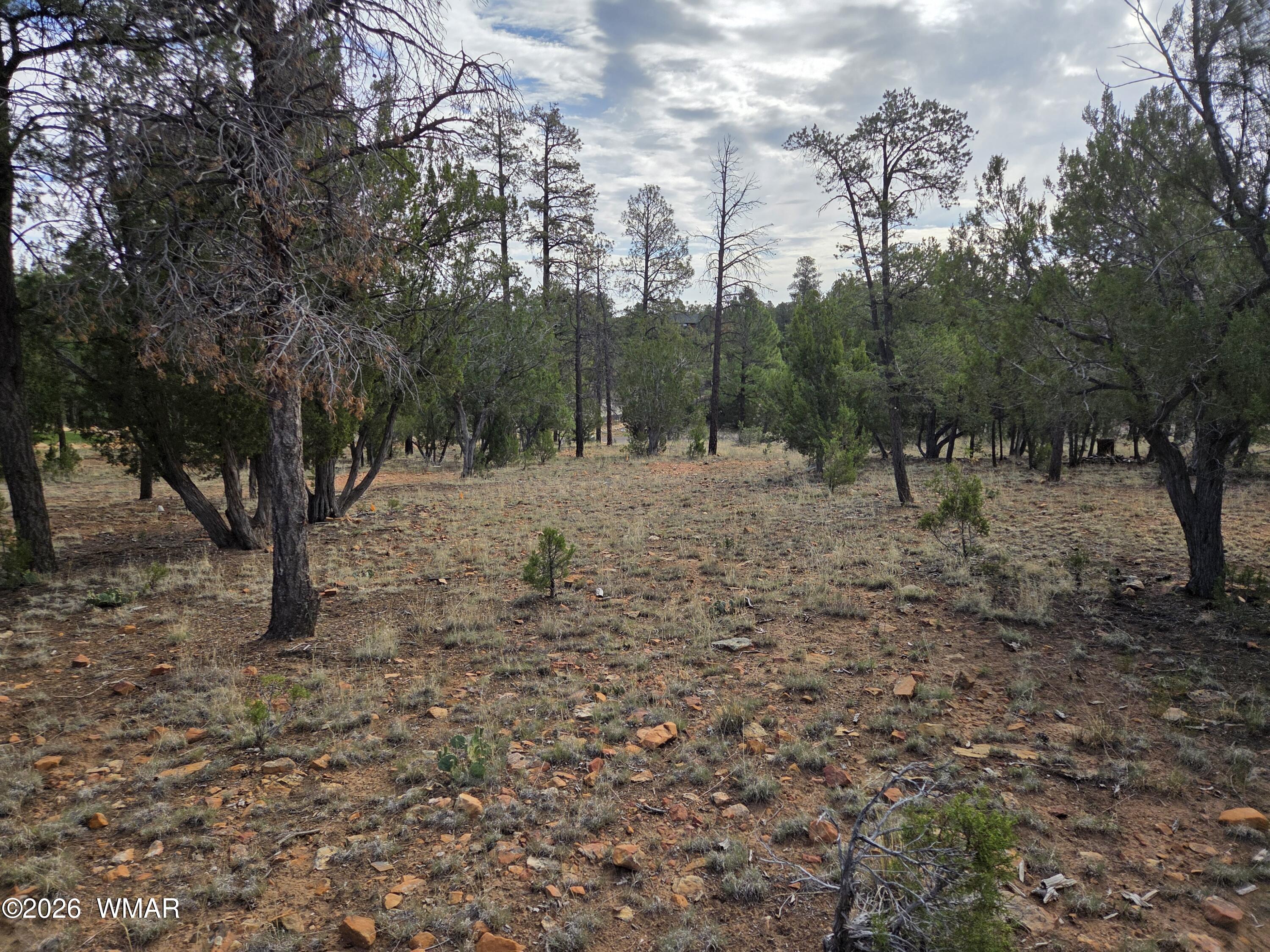 3332 Sawmill Ridge Loop Heber, AZ 85928 - Photo 10 of 12
