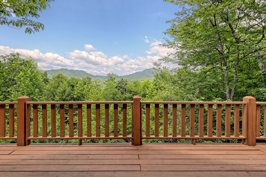 470 Raccoon Ridge Murphy, NC 28906 - Photo 6 of 66 Gallery Image 6
