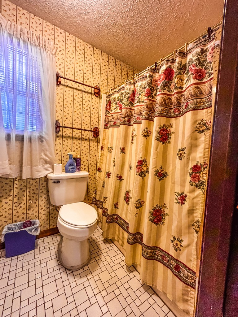 154 Open Pond Road Samson, AL 36477 - Photo 12 of 17