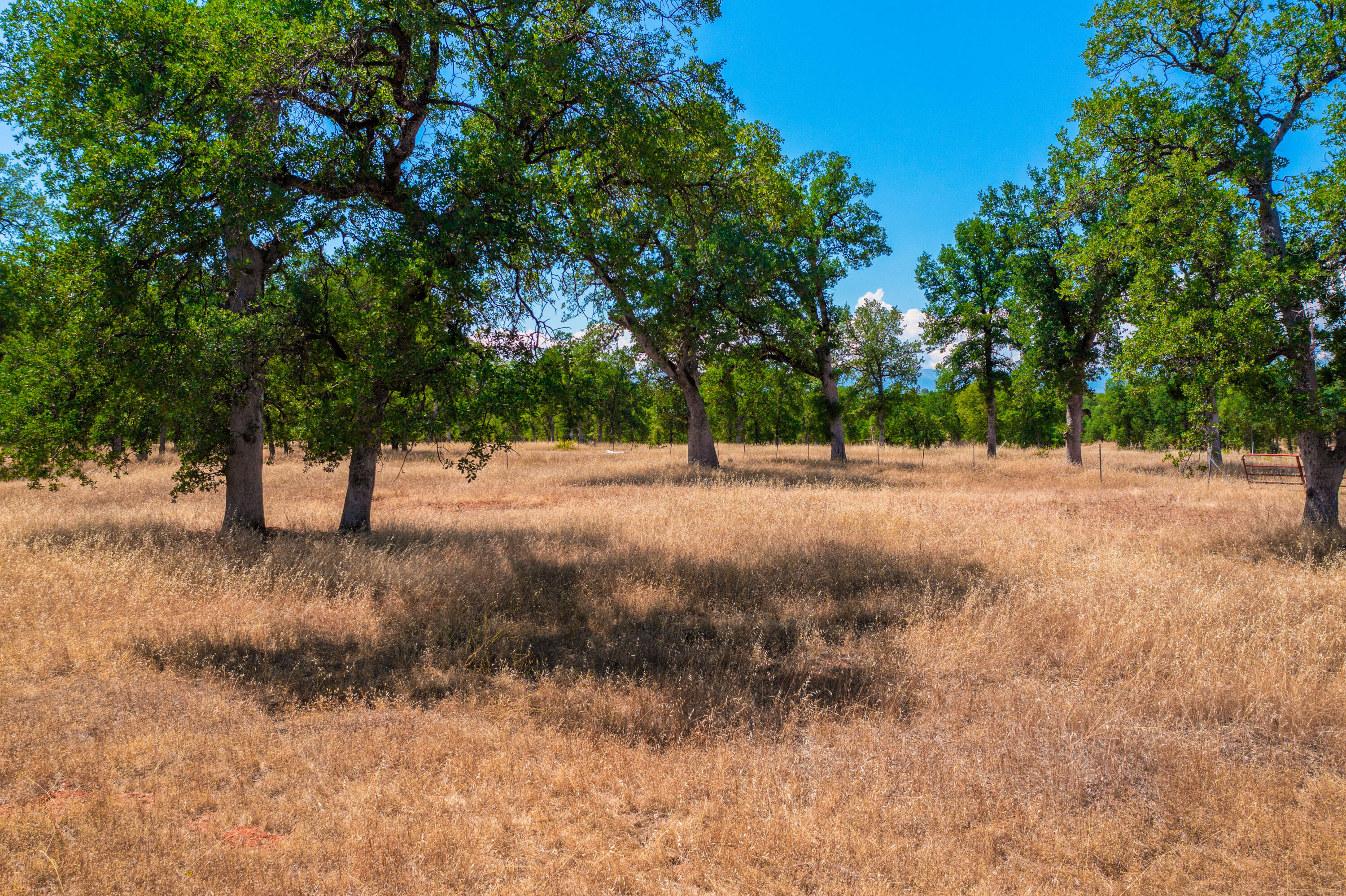 10096 Rocking Horse Lane Palo Cedro, CA 96073 - Photo 15 of 20 IMG-13