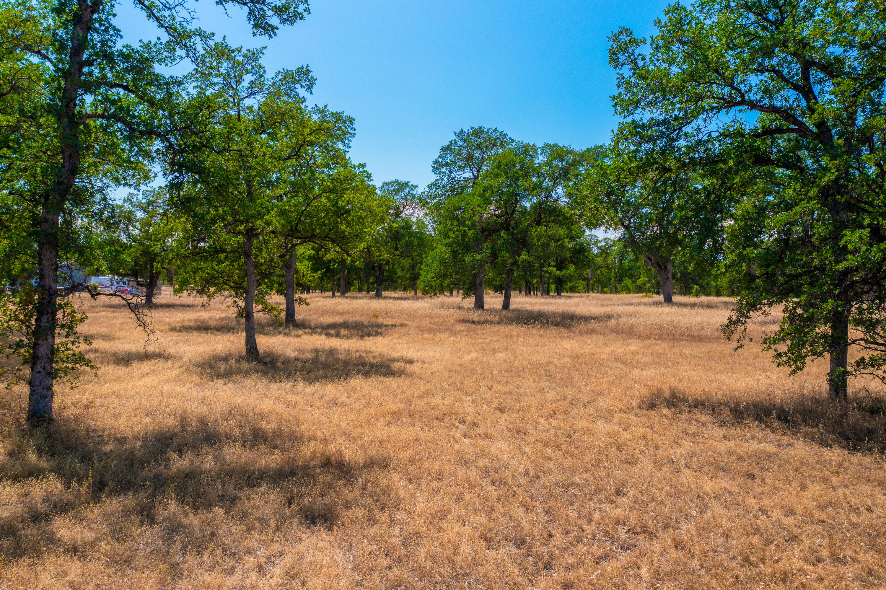 10096 Rocking Horse Lane Palo Cedro, CA 96073 - Photo 19 of 20 IMG-10