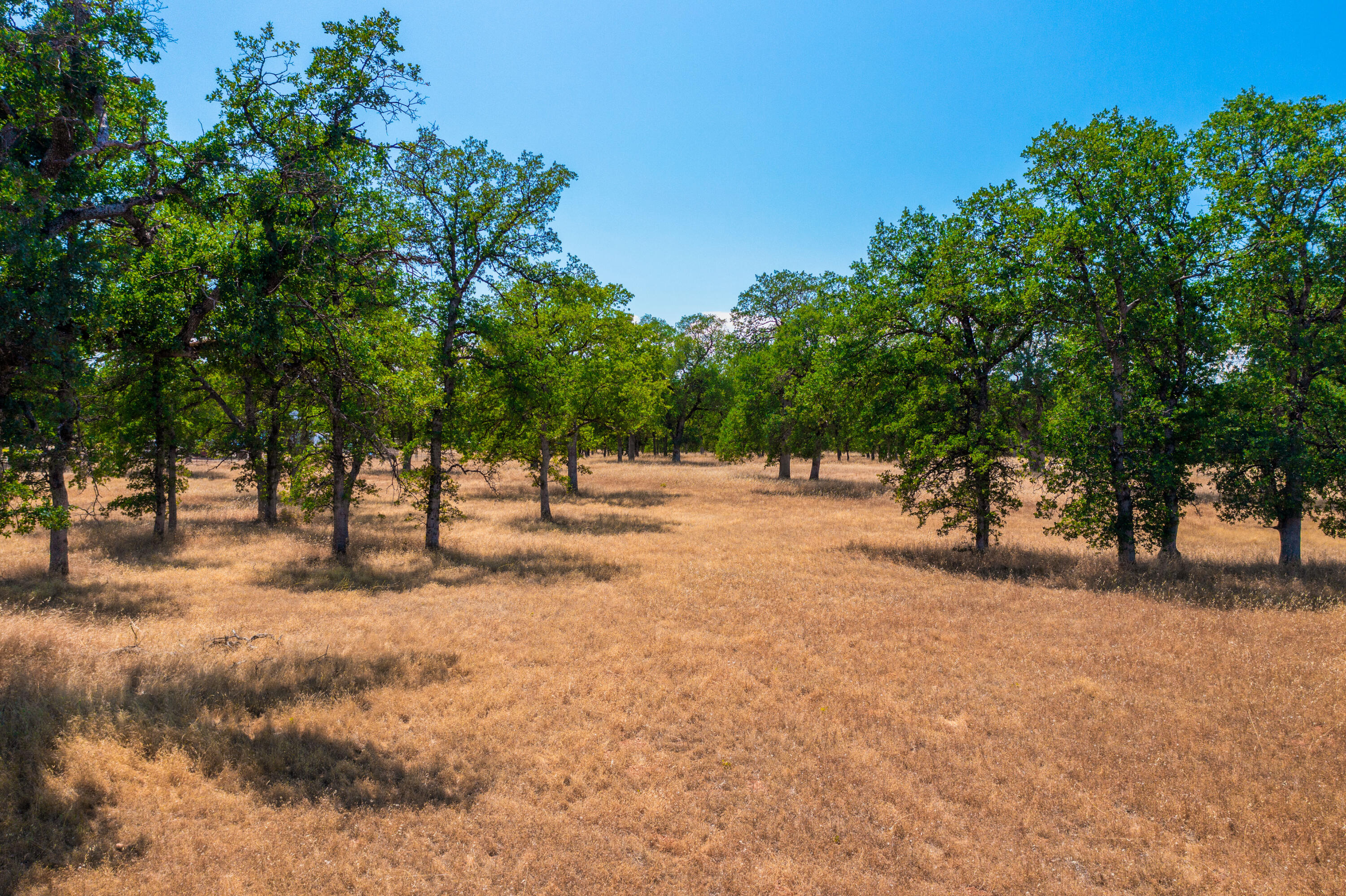 10096 Rocking Horse Lane Palo Cedro, CA 96073 - Photo 5 of 20 IMG-07