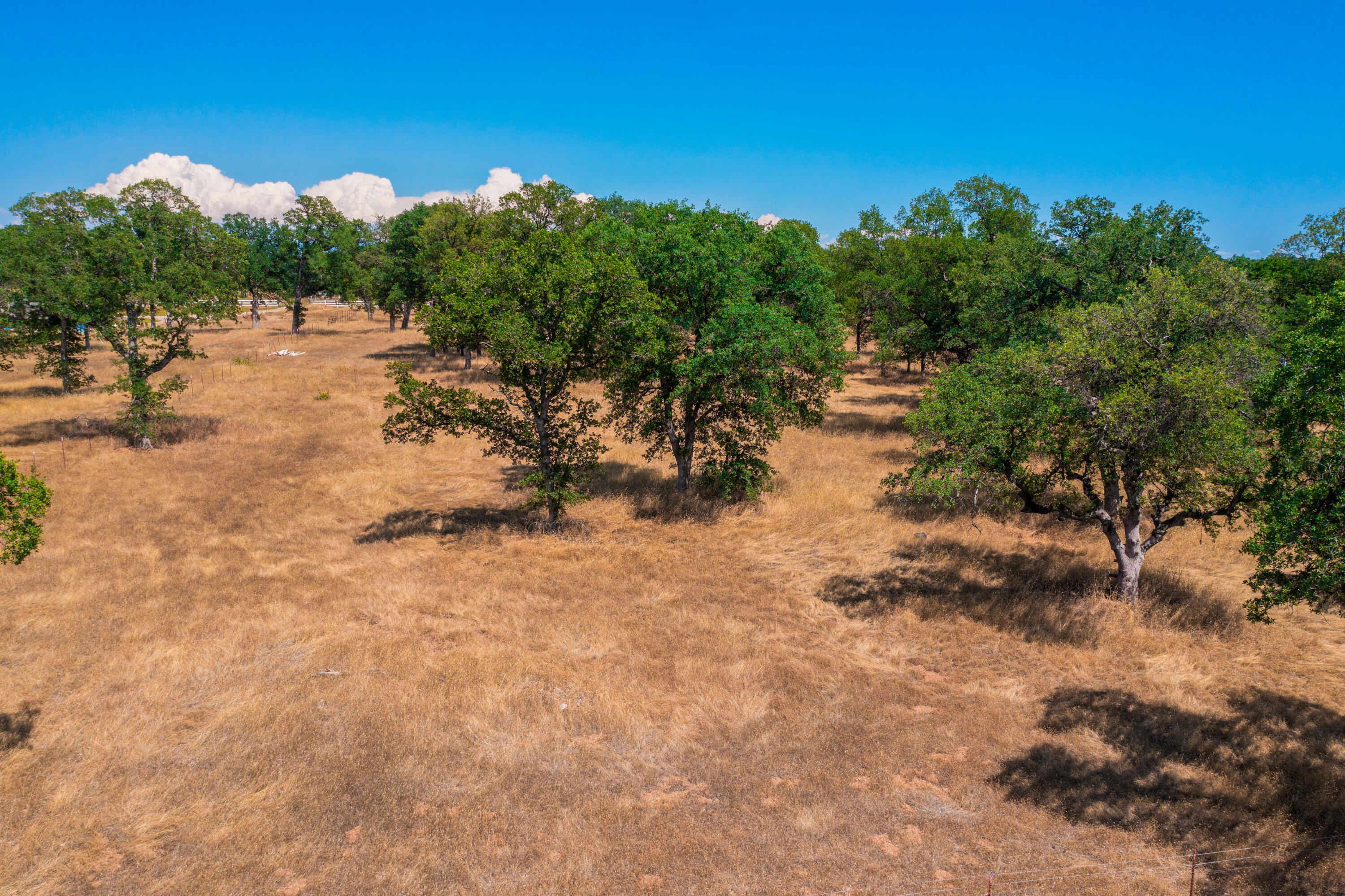 10096 Rocking Horse Lane Palo Cedro, CA 96073 - Photo 6 of 20 IMG-16