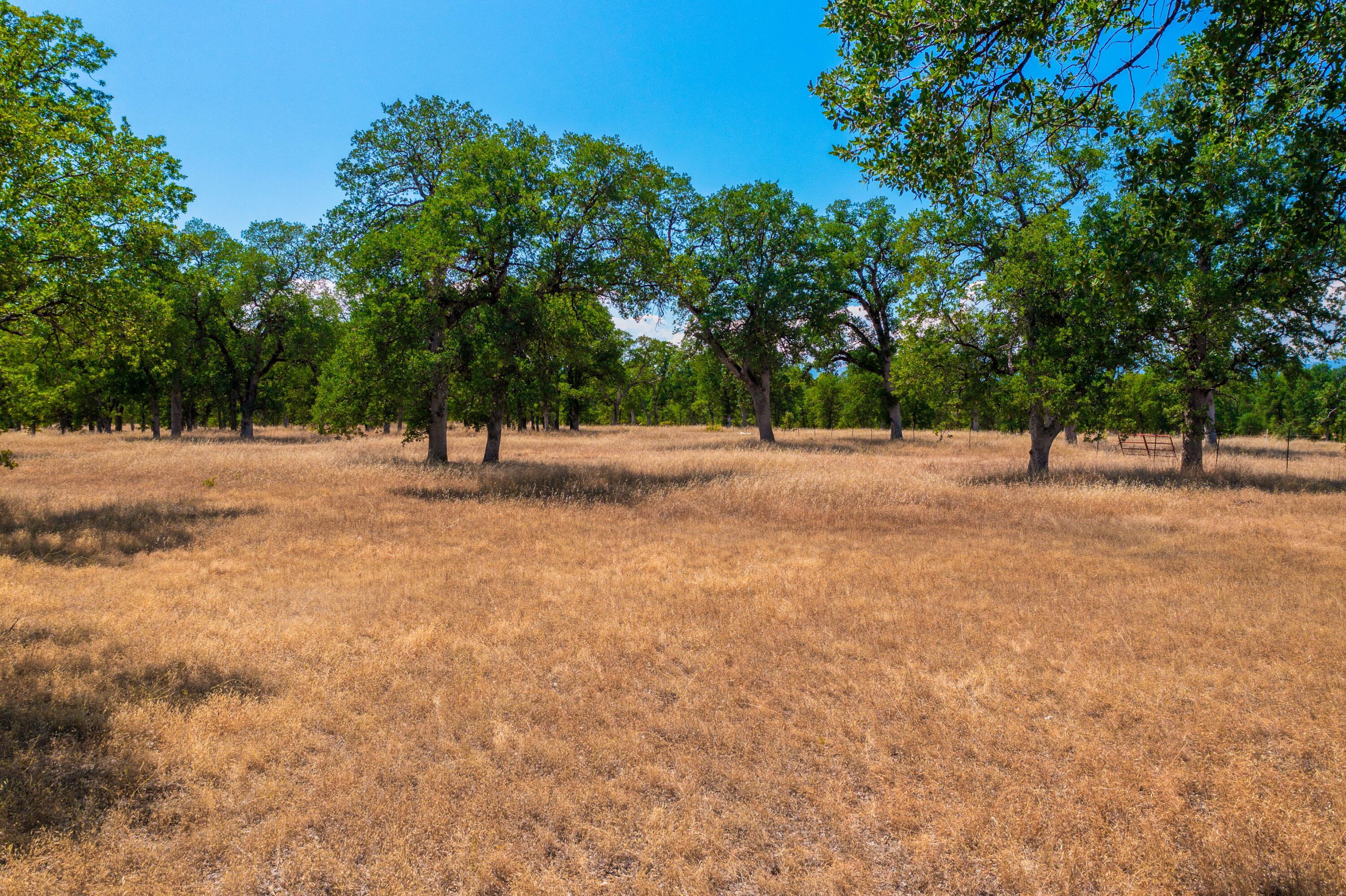 10096 Rocking Horse Lane Palo Cedro, CA 96073 - Photo 7 of 20 IMG-12