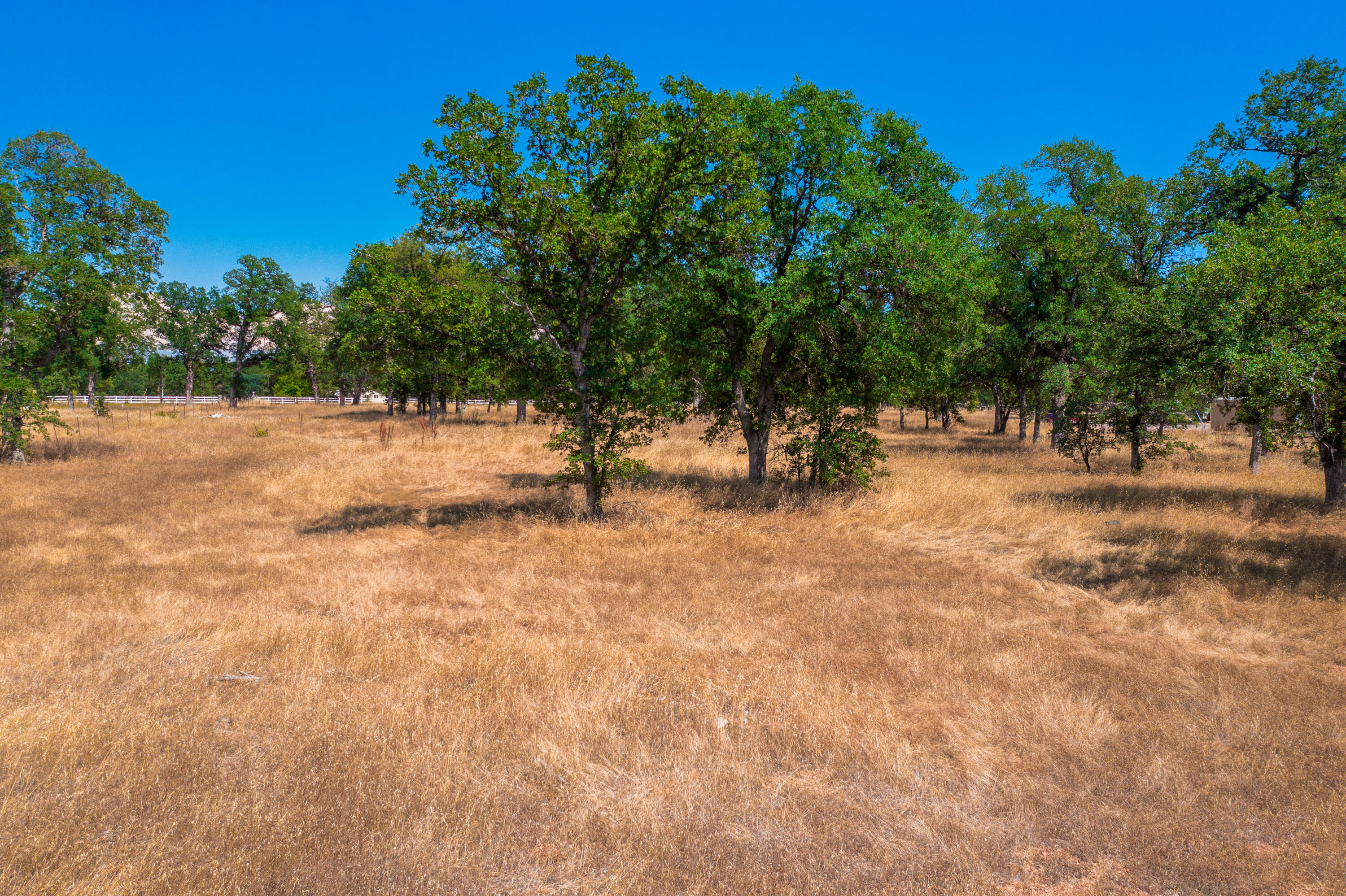 10096 Rocking Horse Lane Palo Cedro, CA 96073 - Photo 9 of 20 IMG-09