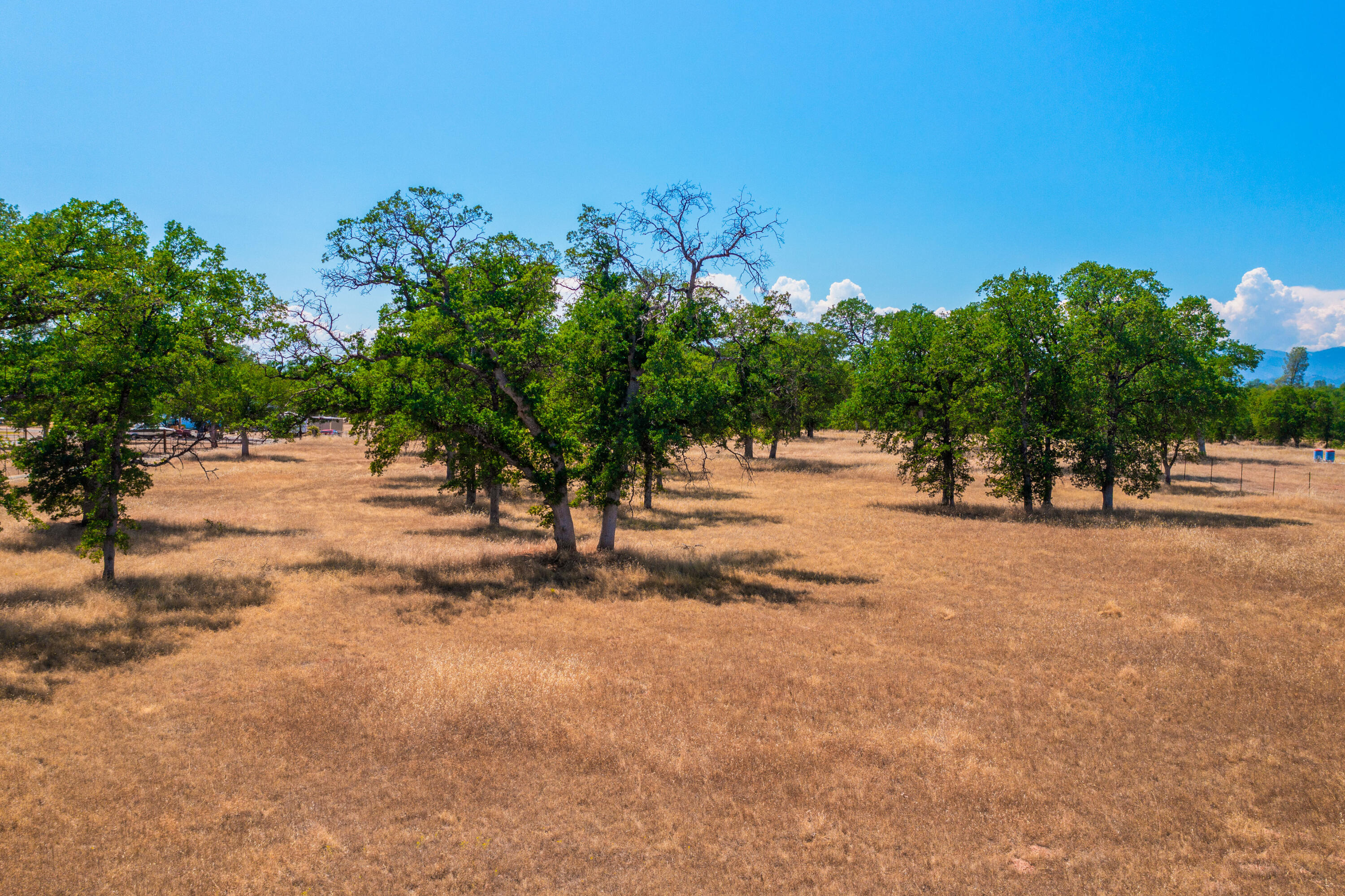 10096 Rocking Horse Lane Palo Cedro, CA 96073 - Photo 10 of 20 IMG-08