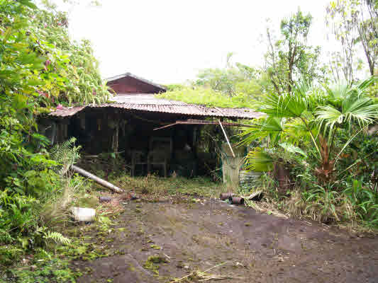 18-3997 South Pszyk Road Mountain View, HI 96771 - Photo 2 of 8