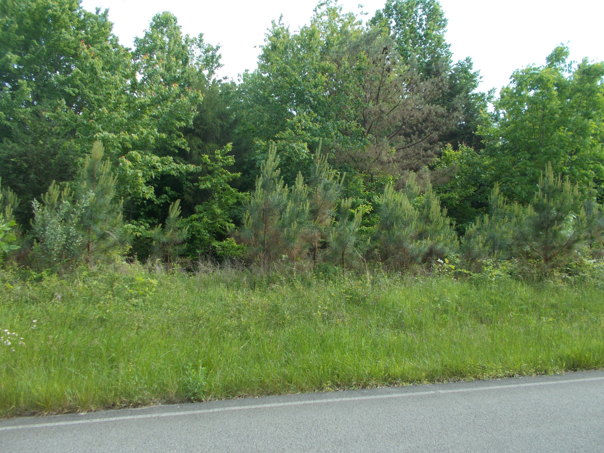 3 Butcher Ridge Road Cumberland Furnace, TN 37051 - Photo 1 of 4 Gallery Image 1
