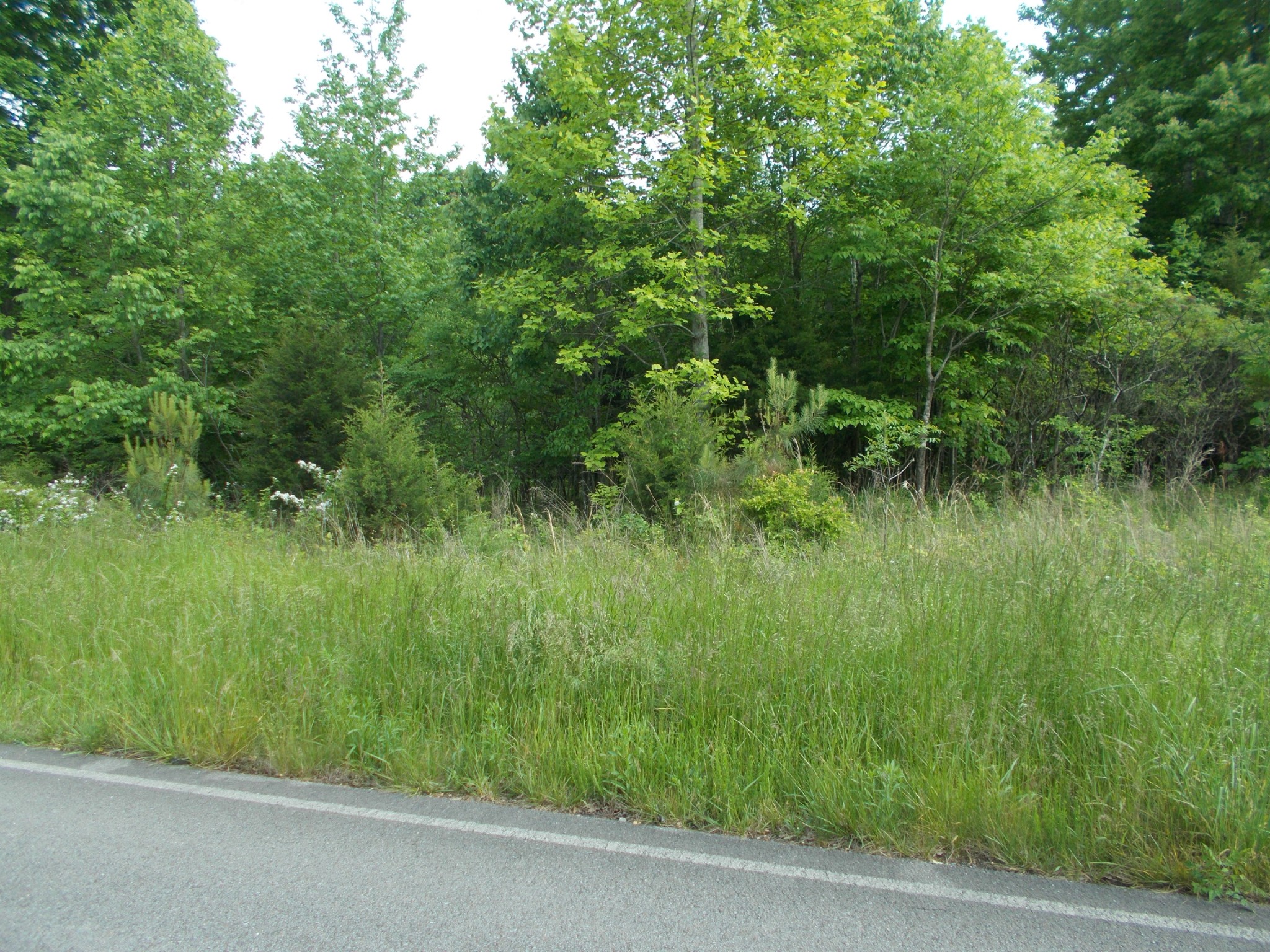 3 Butcher Ridge Road Cumberland Furnace, TN 37051 - Photo 2 of 4 Gallery Image 2