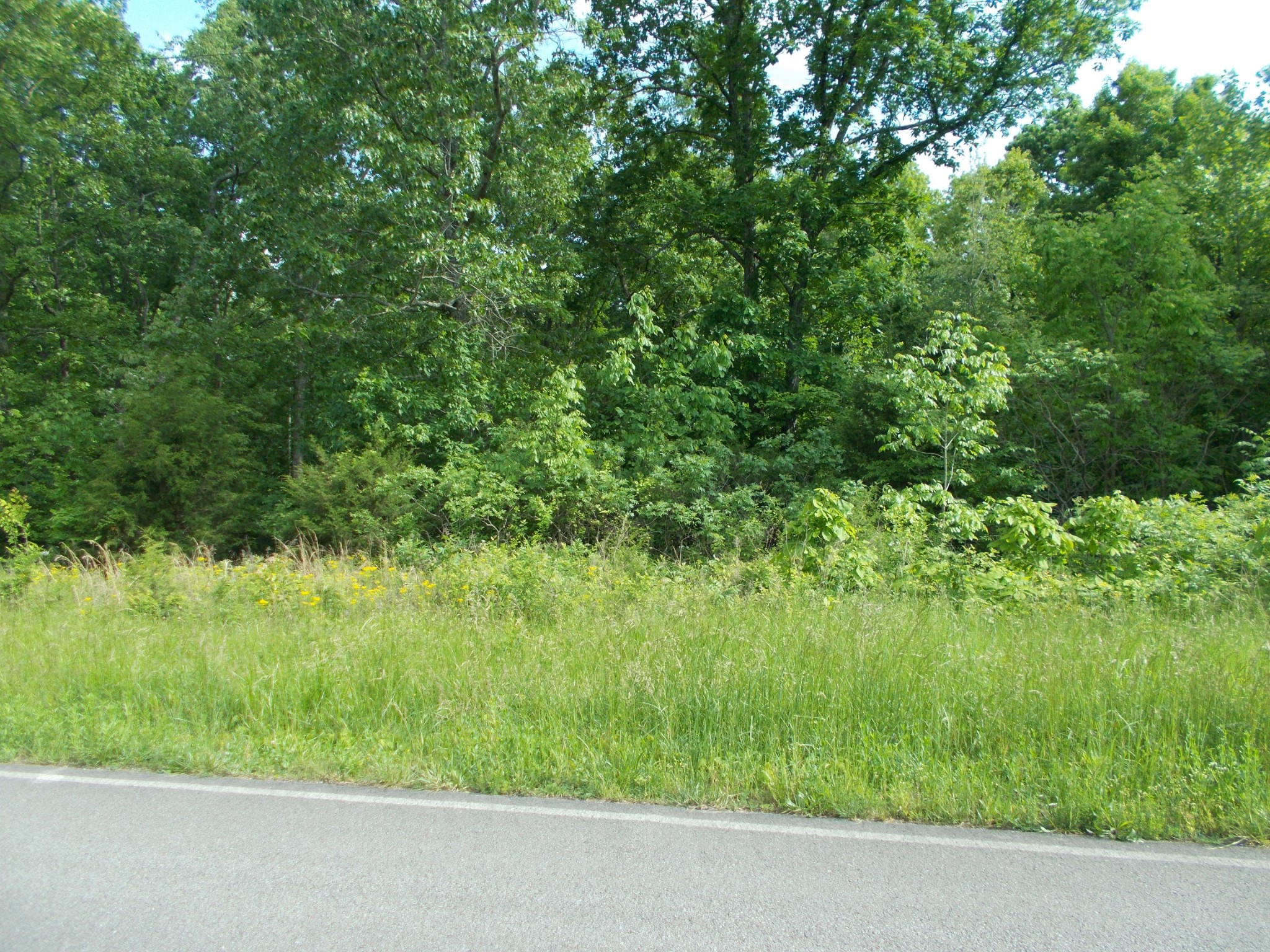 3 Butcher Ridge Road Cumberland Furnace, TN 37051 - Photo 3 of 4 Gallery Image 3