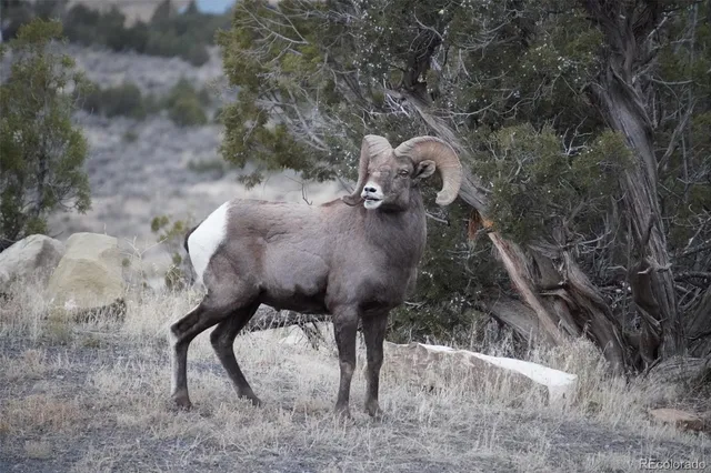 a view of a yard in front of the house