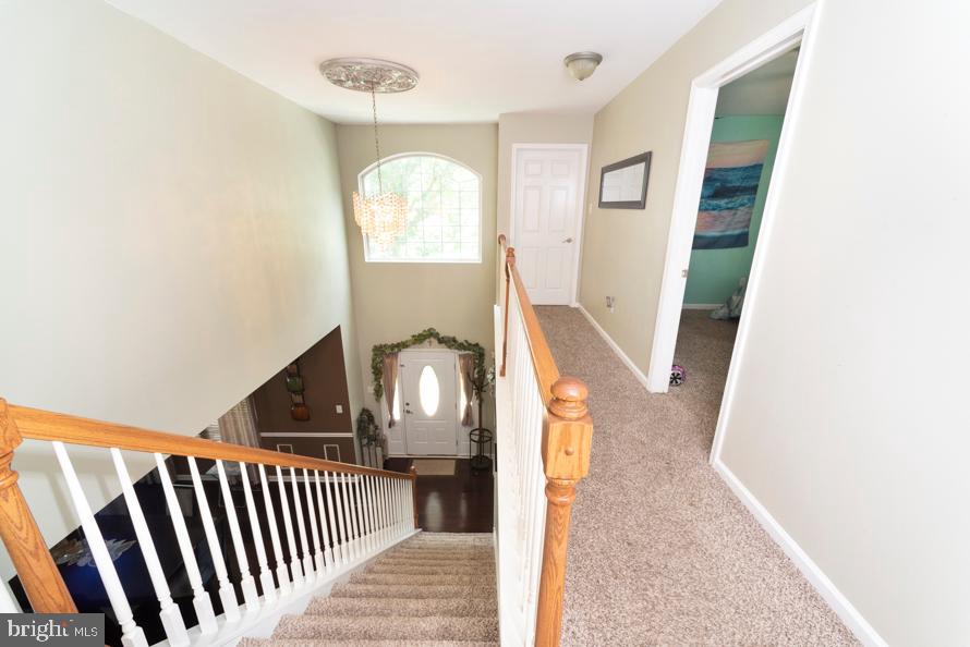 917 Newport Road Croydon, PA 19021 - Photo 35 of 63 Gallery Image 35