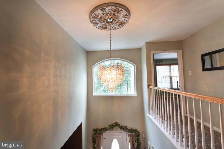 917 Newport Road Croydon, PA 19021 - Photo 36 of 63 Gallery Image 36