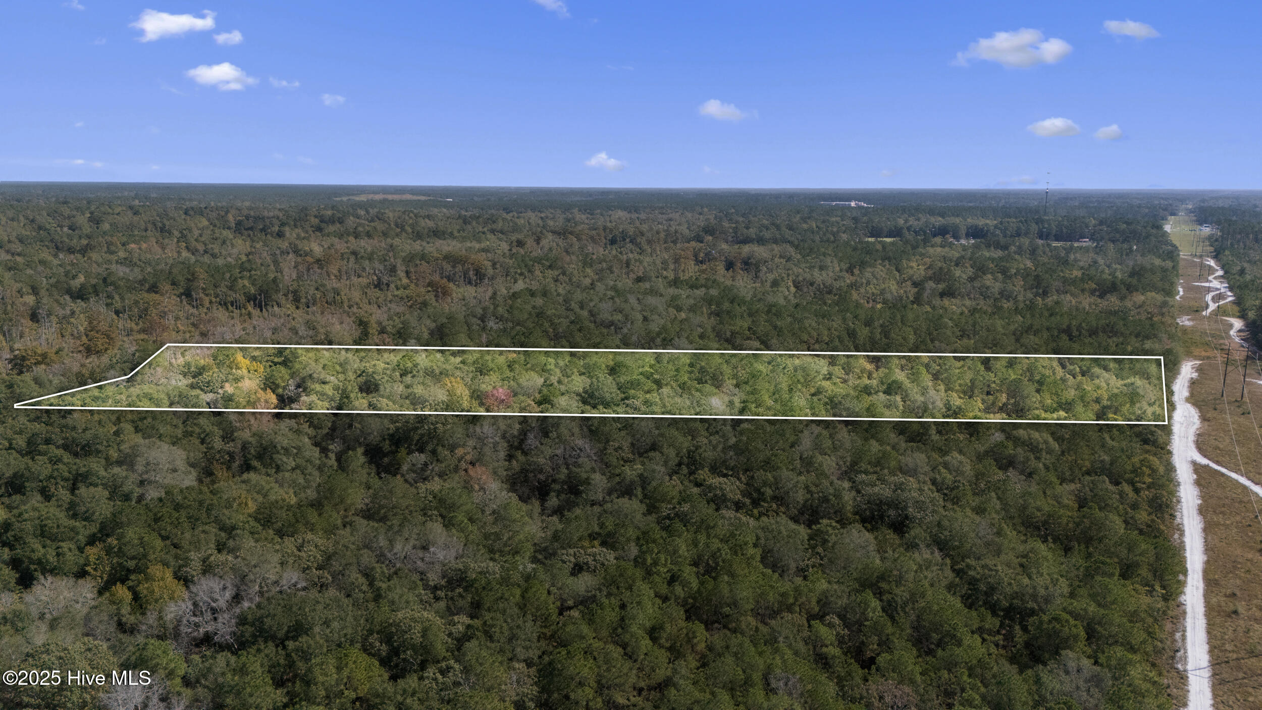 0 Green Swamp Rd Road Northwest Supply, NC 28462 - Photo 6 of 35 33_lot lines 4