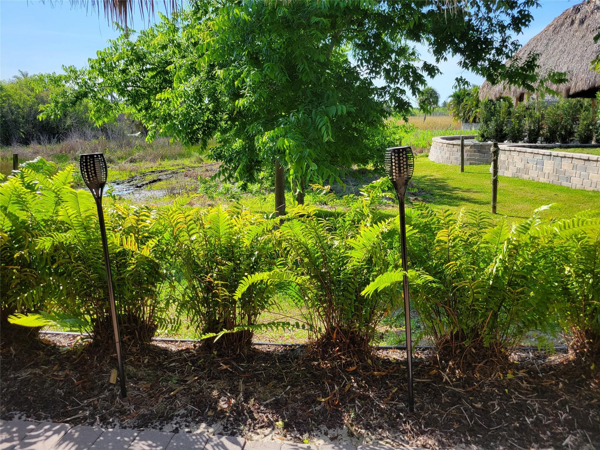 628 Southwest 35th Street Okeechobee, FL 34974 - Photo 27 of 27 a view of a yard with plants and large trees