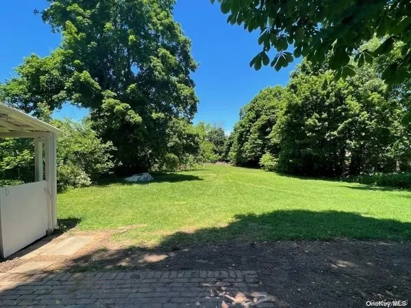 a view of a yard with plants and large trees