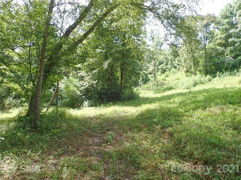 2915 Big Level Road Mill Spring, NC 28756 - Photo 14 of 26 a view of yard with green space
