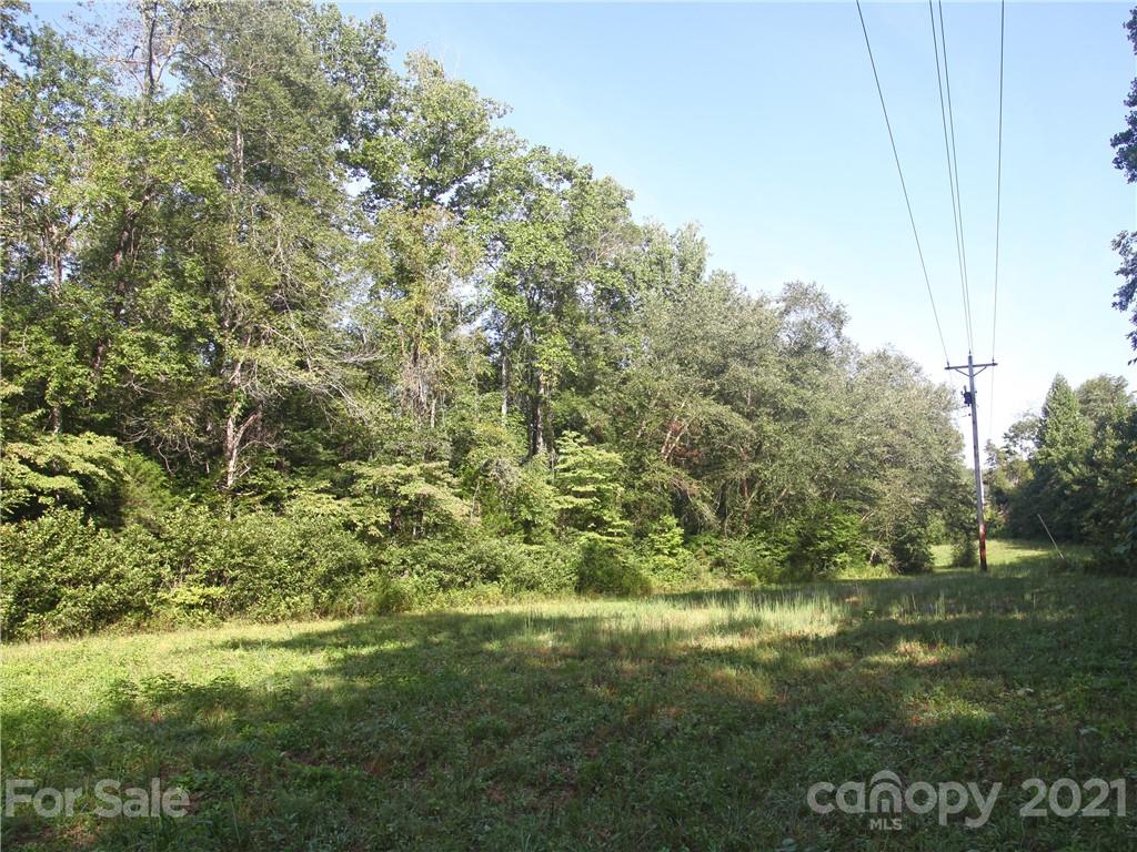 2915 Big Level Road Mill Spring, NC 28756 - Photo 22 of 26 a view of a yard