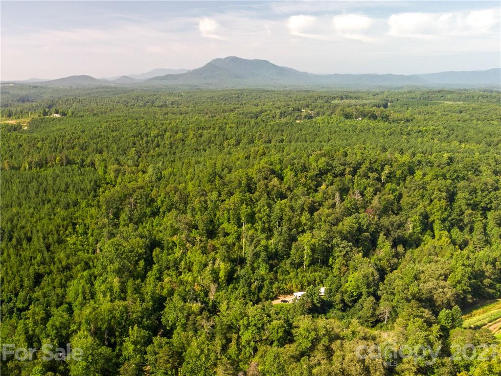 2915 Big Level Road Mill Spring, NC 28756 - Photo 5 of 26 a view of a lush green hillside and a houses
