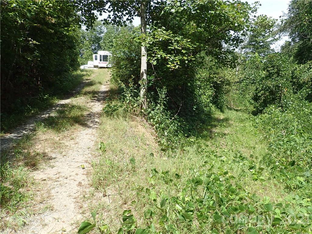 2915 Big Level Road Mill Spring, NC 28756 - Photo 8 of 26 a view of a trees with yard