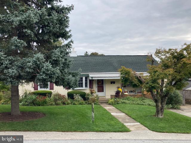 19 Beryl Road Paoli, PA 19301 - Photo 3 of 51 Nice curb appeal & Pine Tree - get lights to trim!